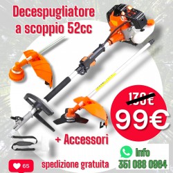 DECESPUGLIATORE A SCOPPIO...